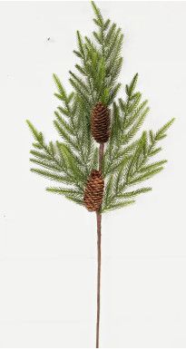 29" Norfolk Pine Branch with Long Pinecones