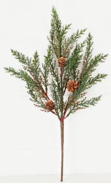 17" Cypress Pine Pick with Pinecones
