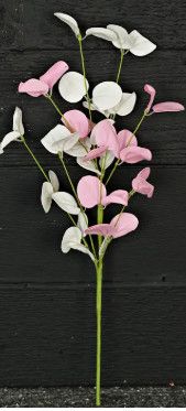 16" Pink White Silver Dollar Stem