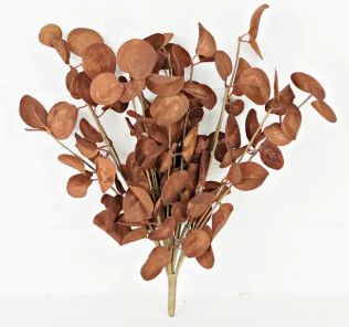 12" Coffee Silver Dollar Pick