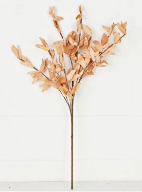 22" Tea Stain PE Herb Spray