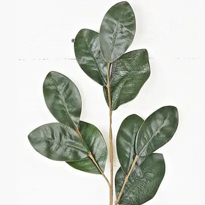 30" Evergreen Magnolia Leaves Branch