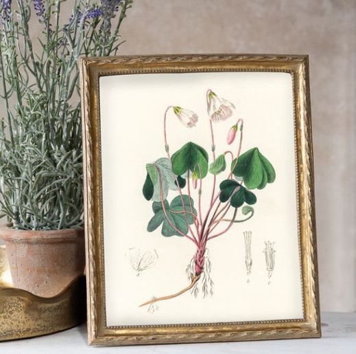 8x10 Gold Twist Frame