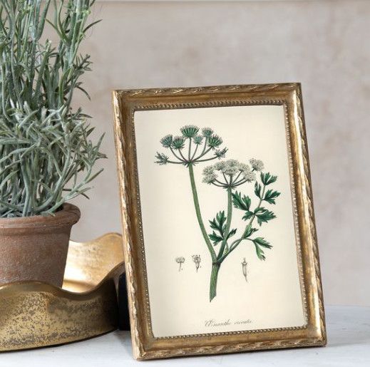 5x7 Gold Twist Frame