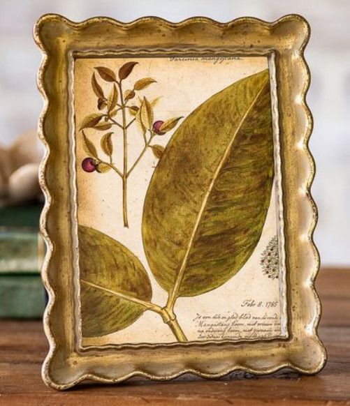 5x7 Scallop Frame