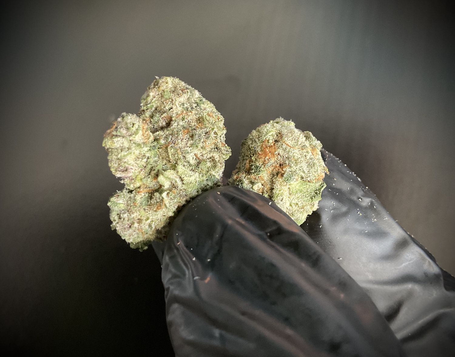 Amaretto Mintz Smalls THCA