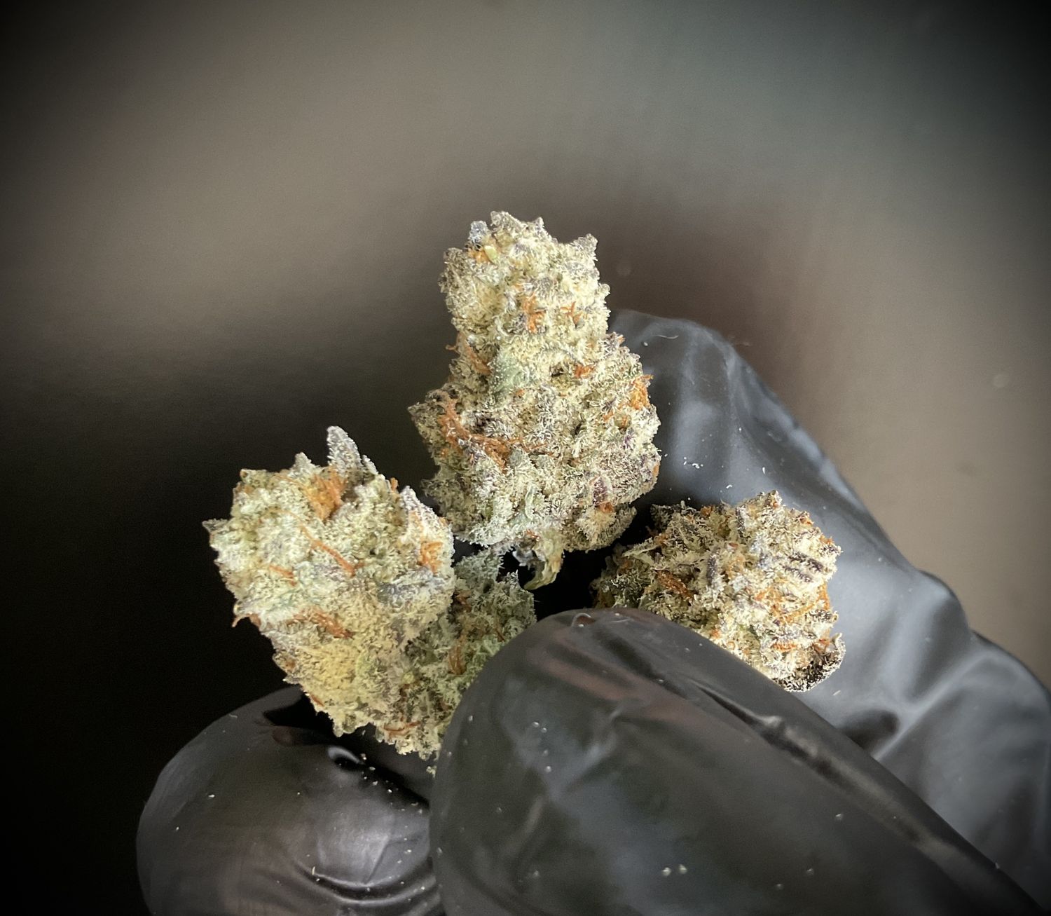 Dante&#39;s Inferno Smalls THCA