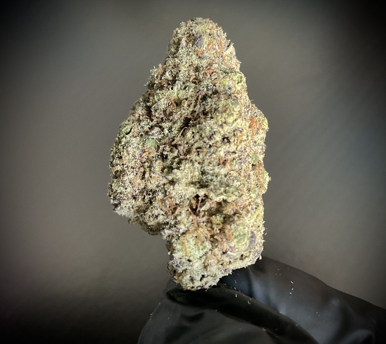 Interstellar THCA