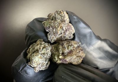 Ice Cream Cake Smalls THCA