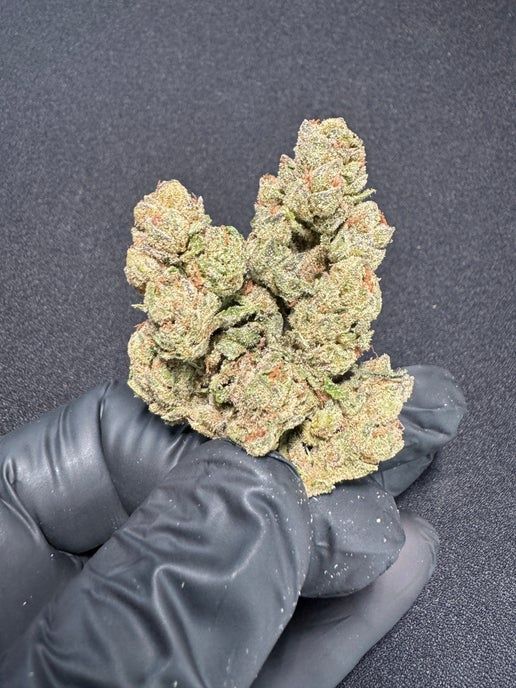 Lemon Cherry Gelato &quot;Green&quot; THCA