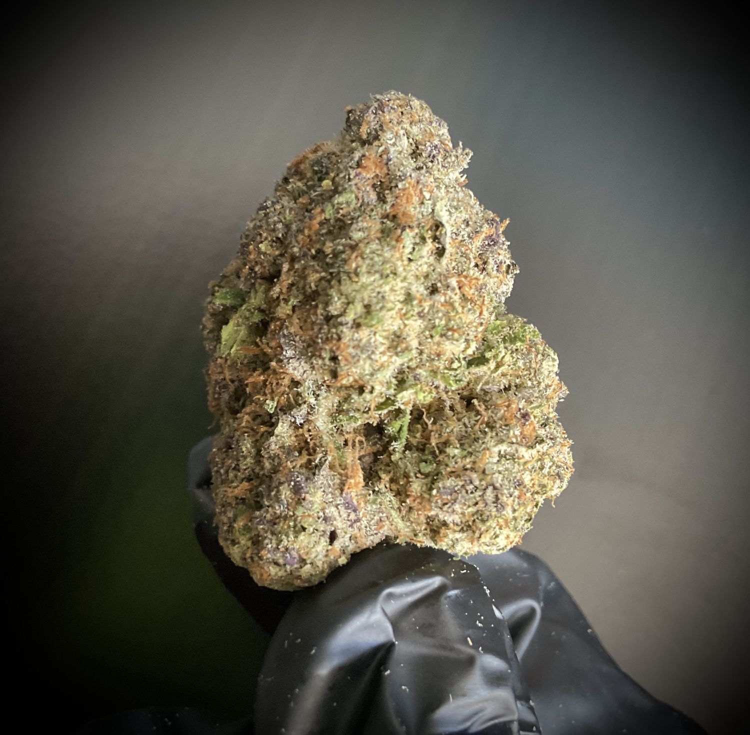 Mamba Marker THCA