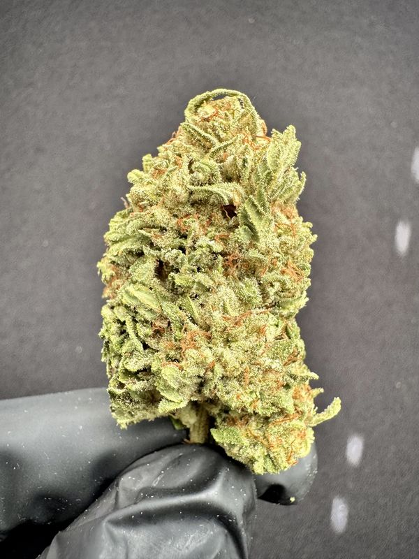 Sour Guava THCA