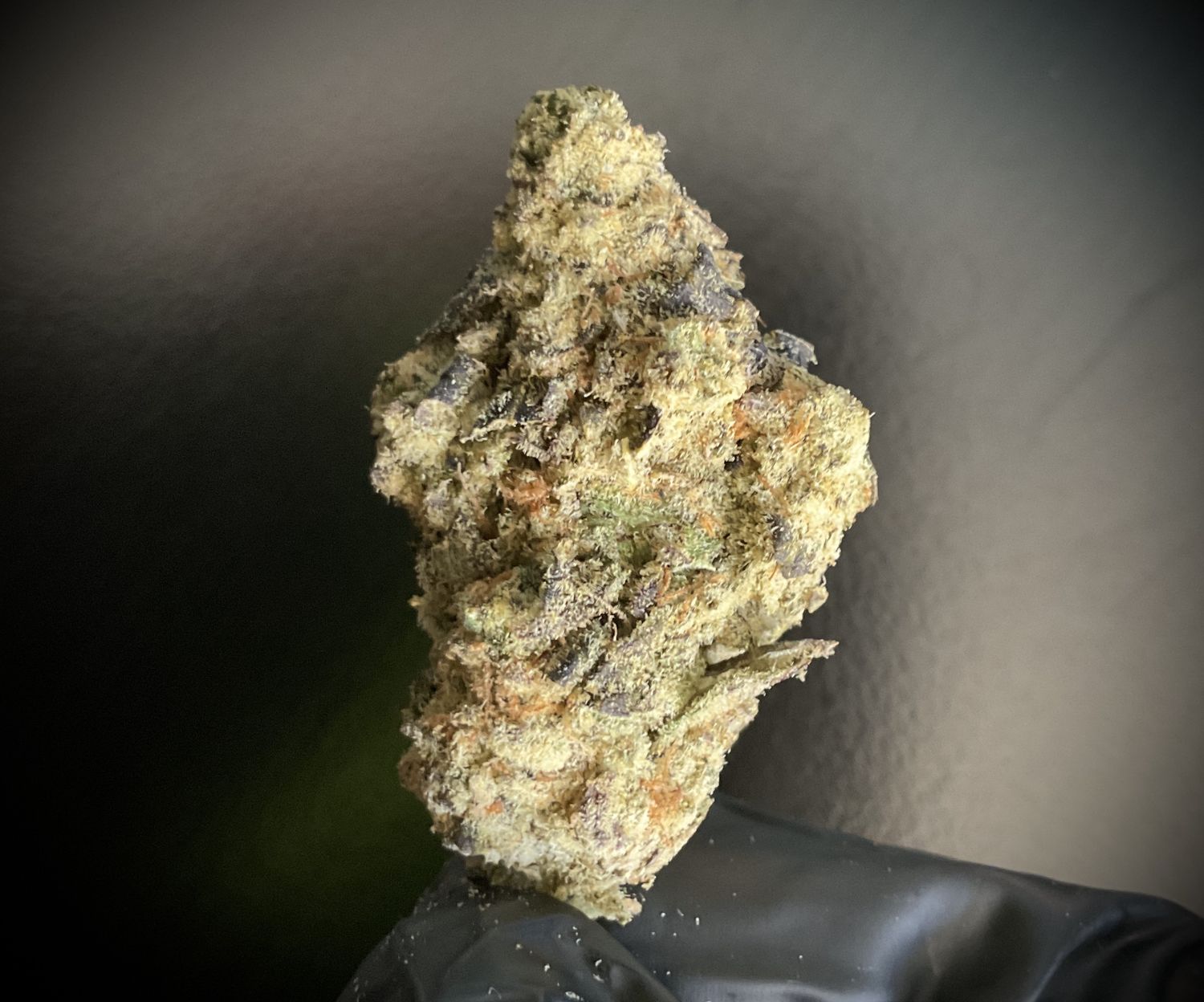 Wildflower THCA