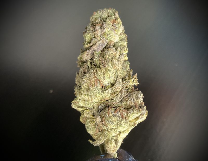 Blue Nerdz THCA