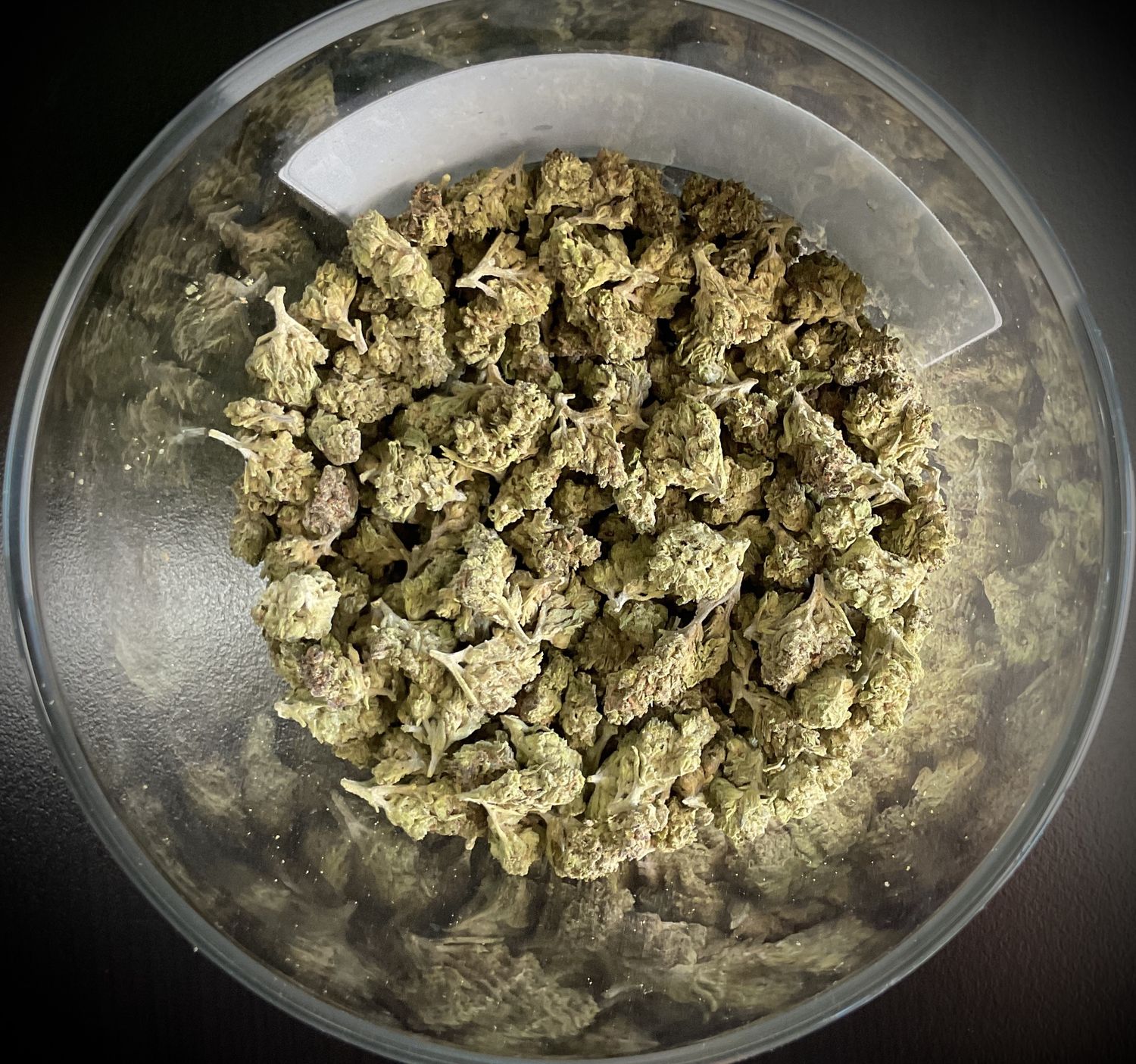 Gush Mintz THCA