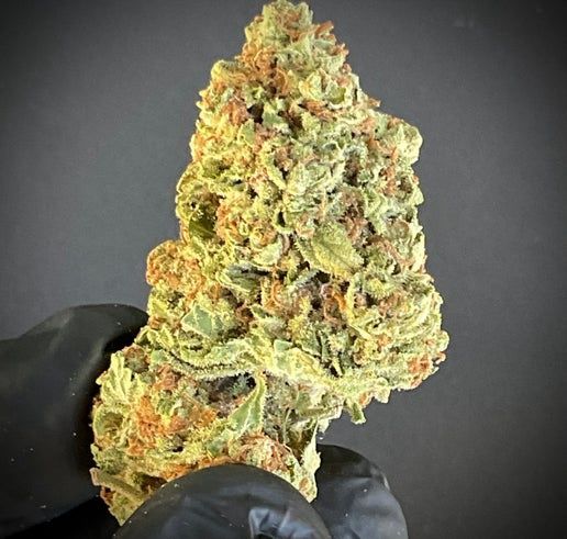 BC Bud THCA