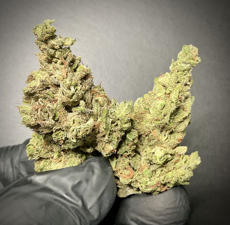 Blue Dream THCA