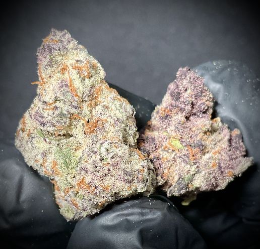 Mac Gary Batch #1 THCA