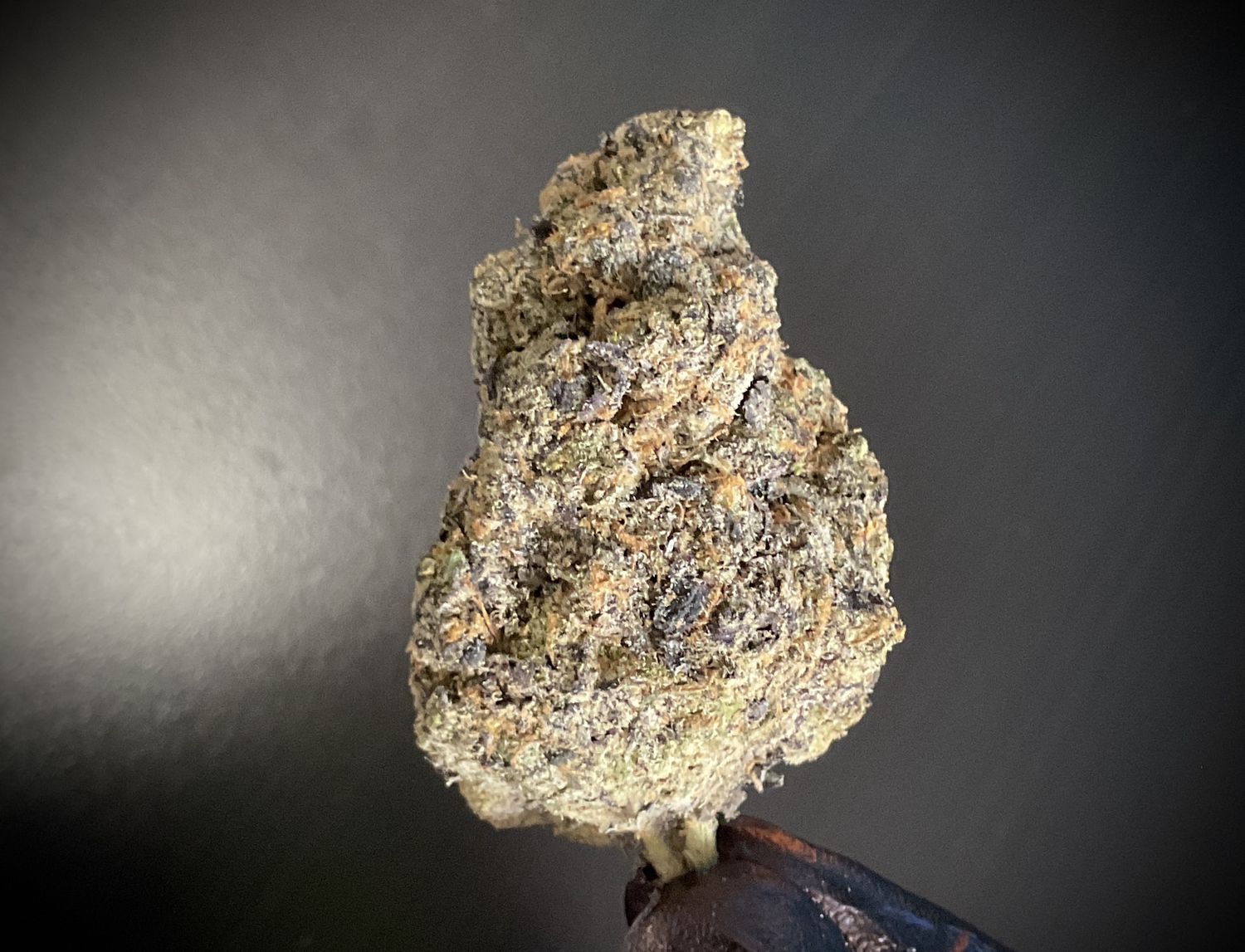 Grape Cherry Gelato THCA