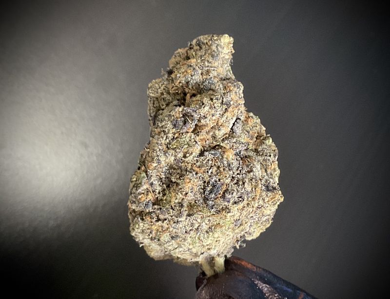 Grape Cherry Gelato THCA