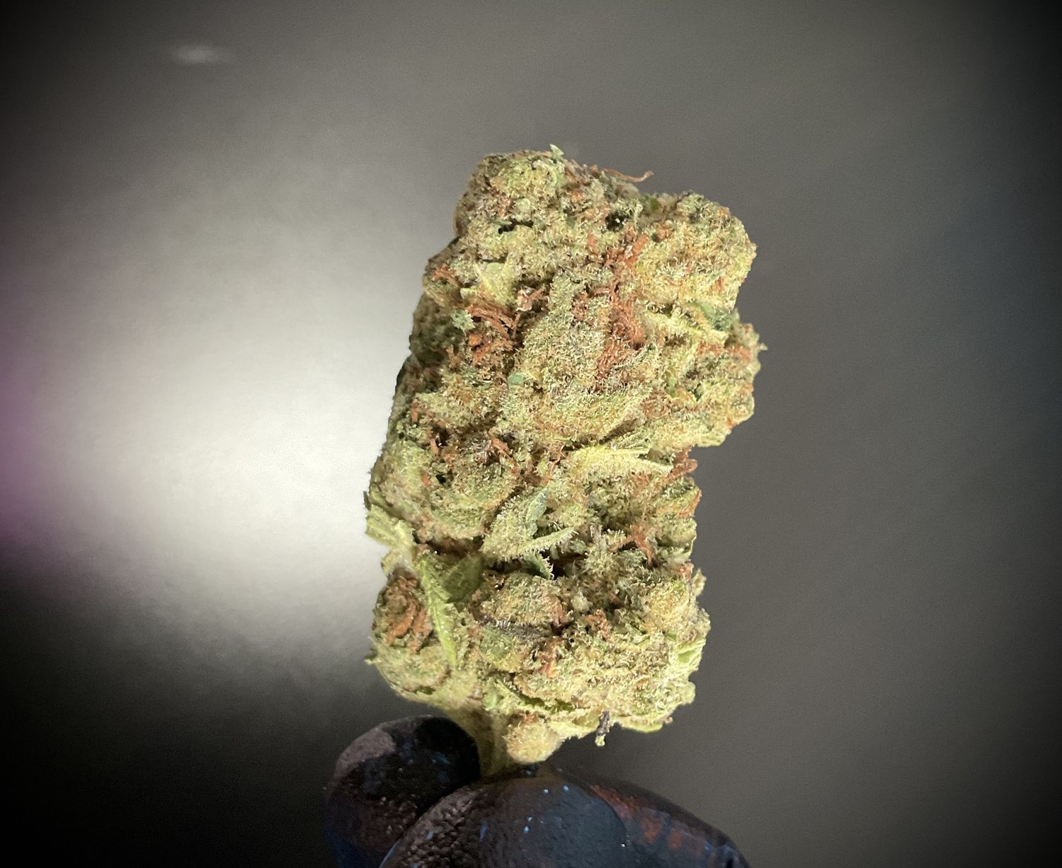 Pluto THCA