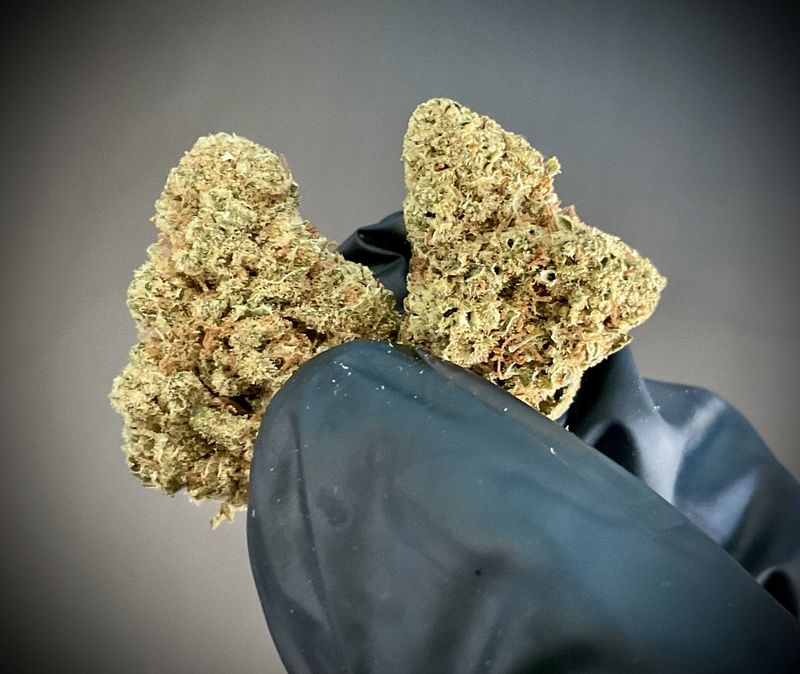 Lemon Fade CBD