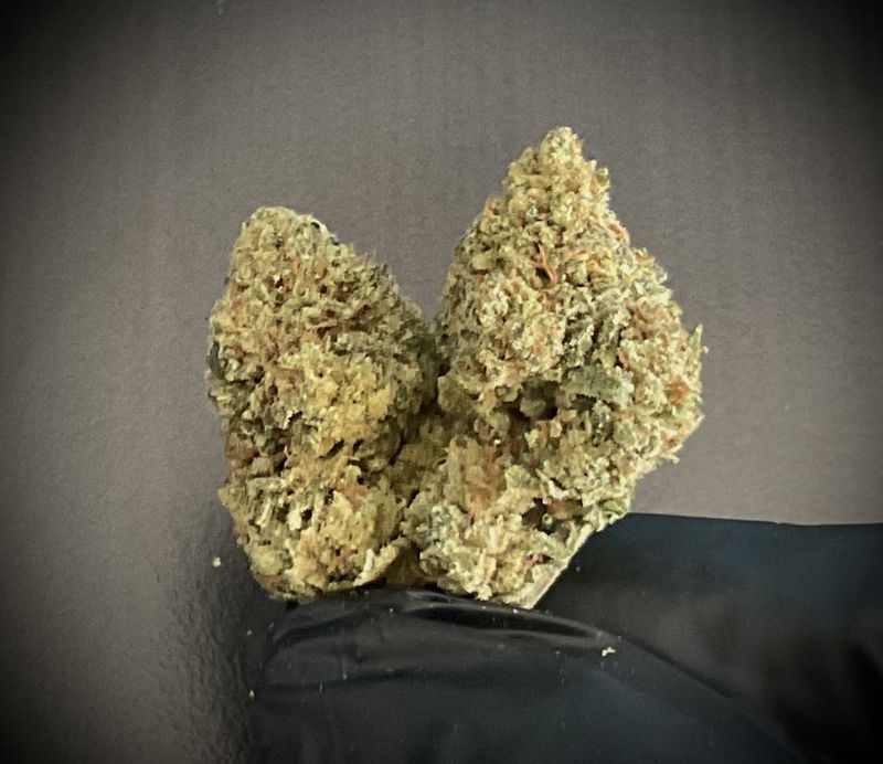 Miami Heat CBD