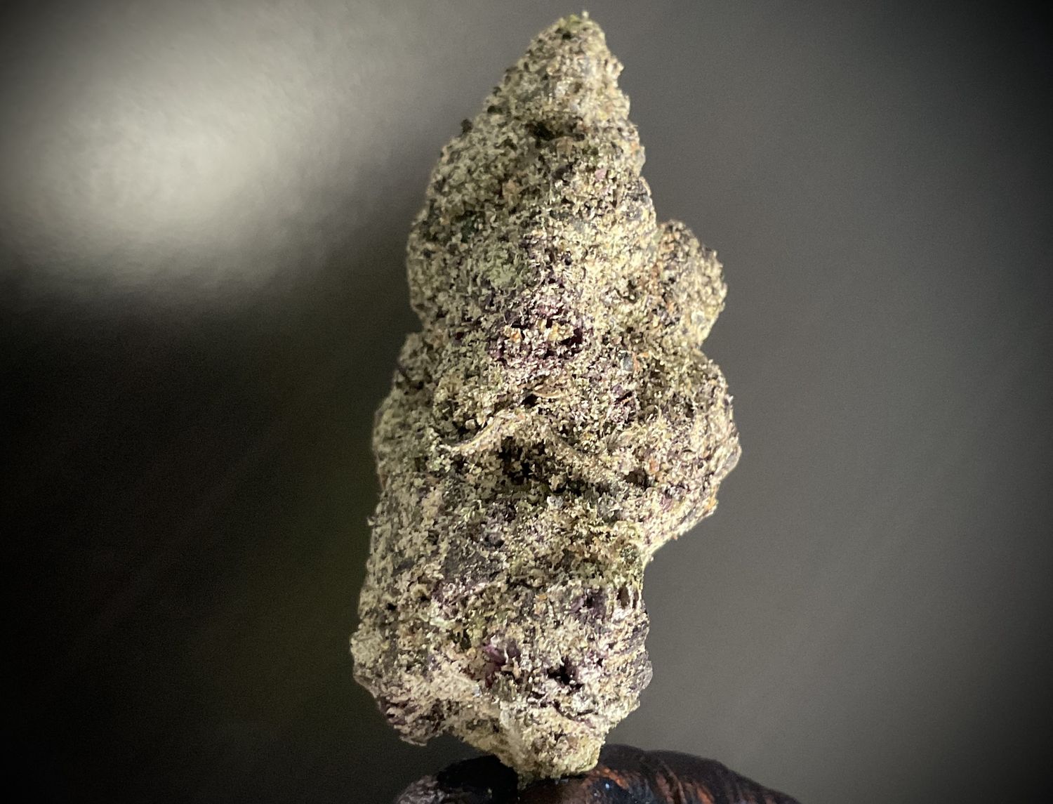 Black Runtz THCA
