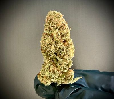 Blueberry Waffles CBD