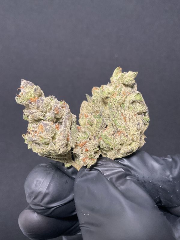 Secret Cookies THCA