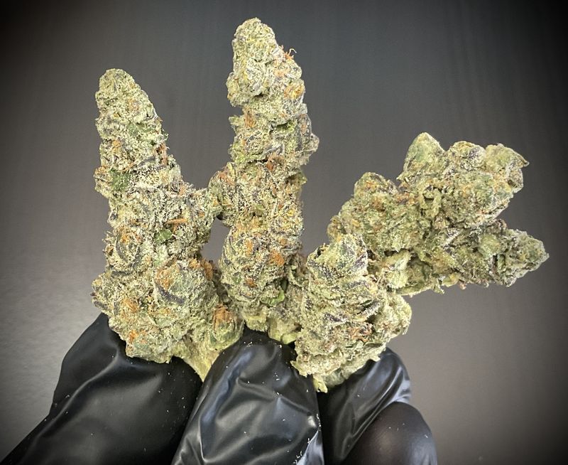 GMO Grape THCA