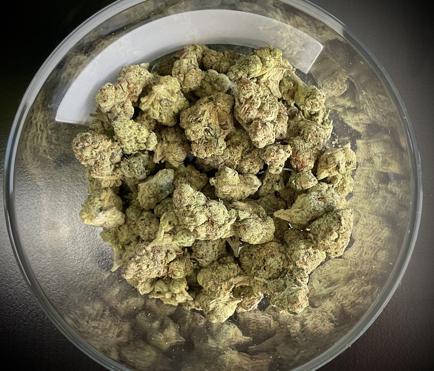 Halle Berry THCA