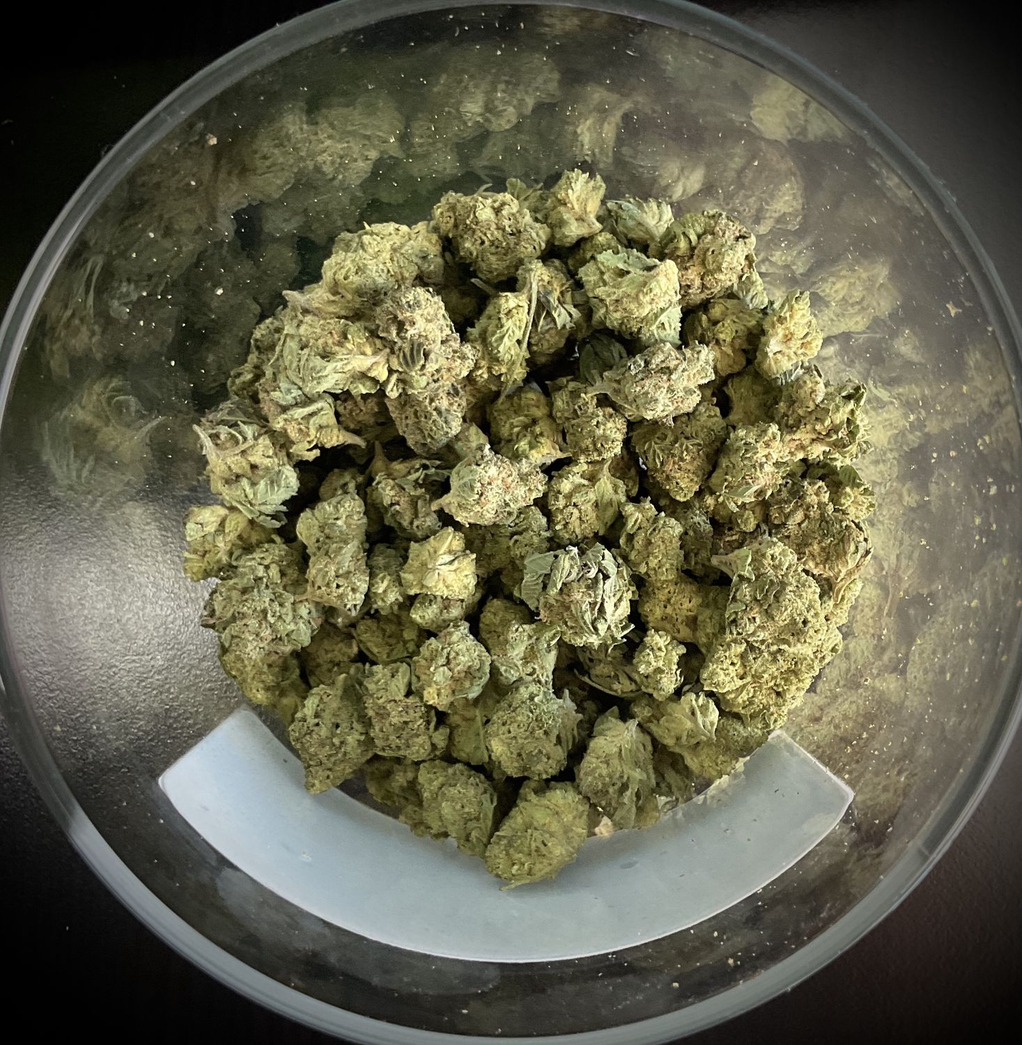 Hash Plant THCA