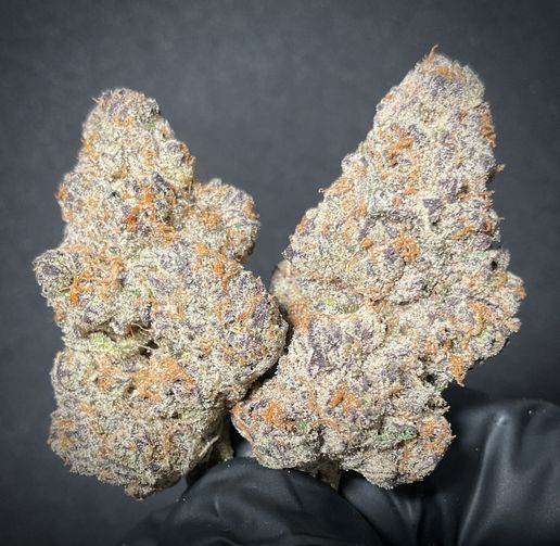 Lizard Burger THCA