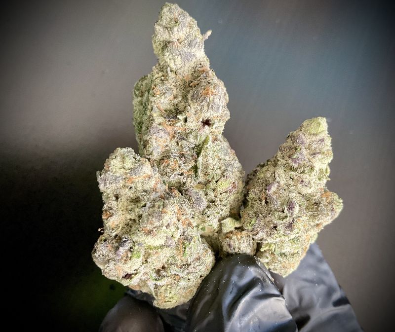 Night Moves THCA