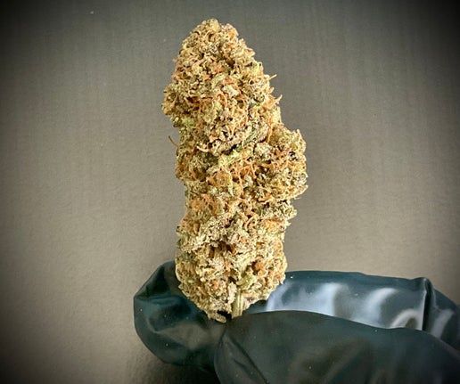 Godfather OG CBD