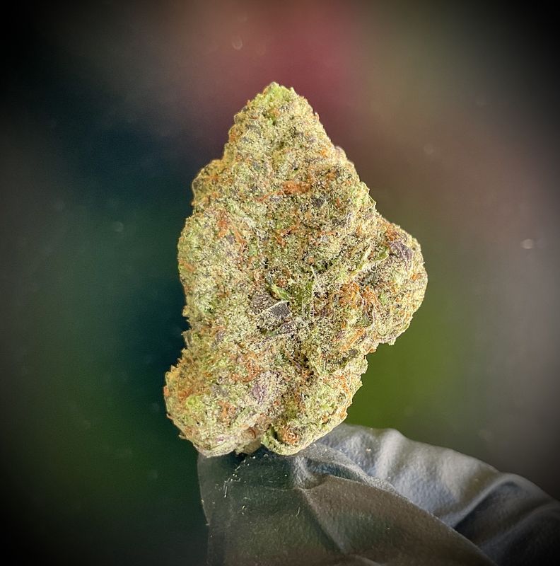 Purple Pluto THCA