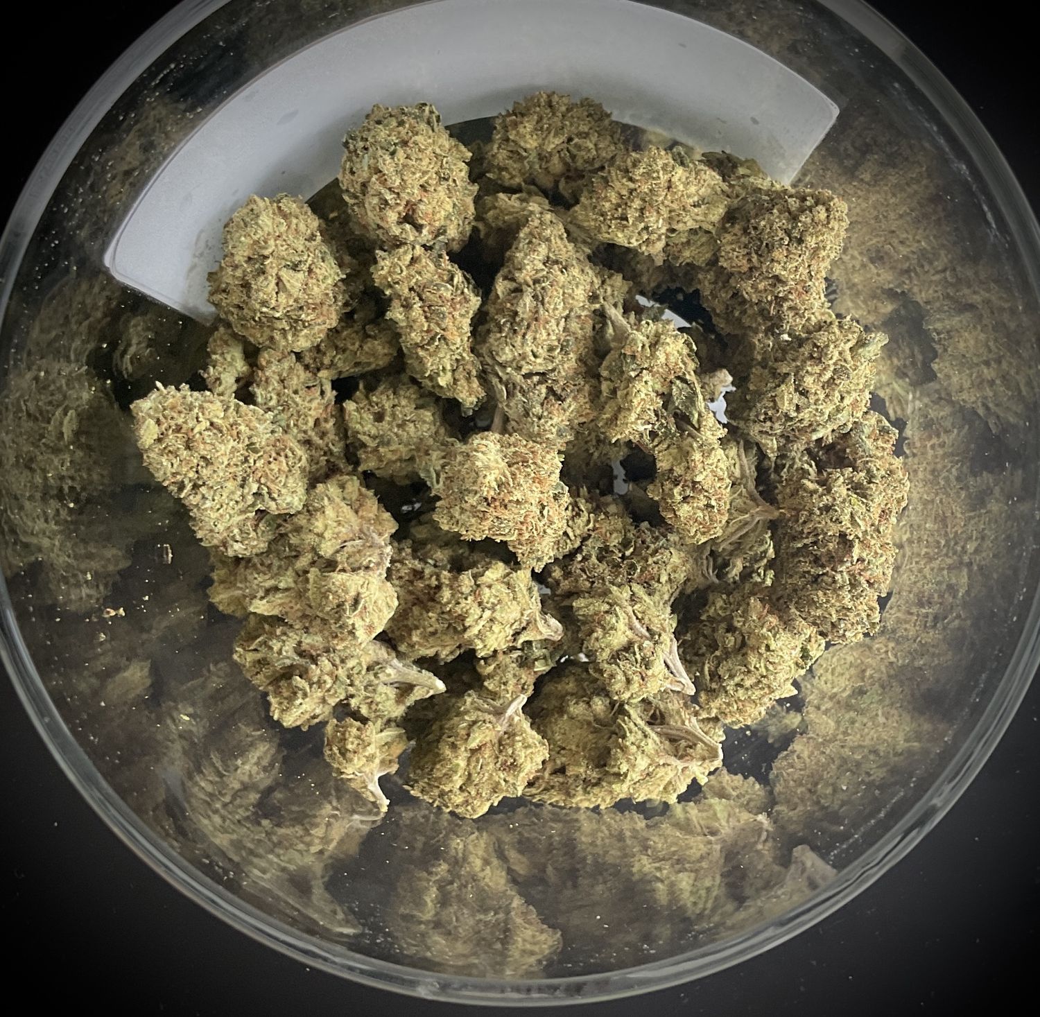 Zookies Rodeo Lemon Glue THCA