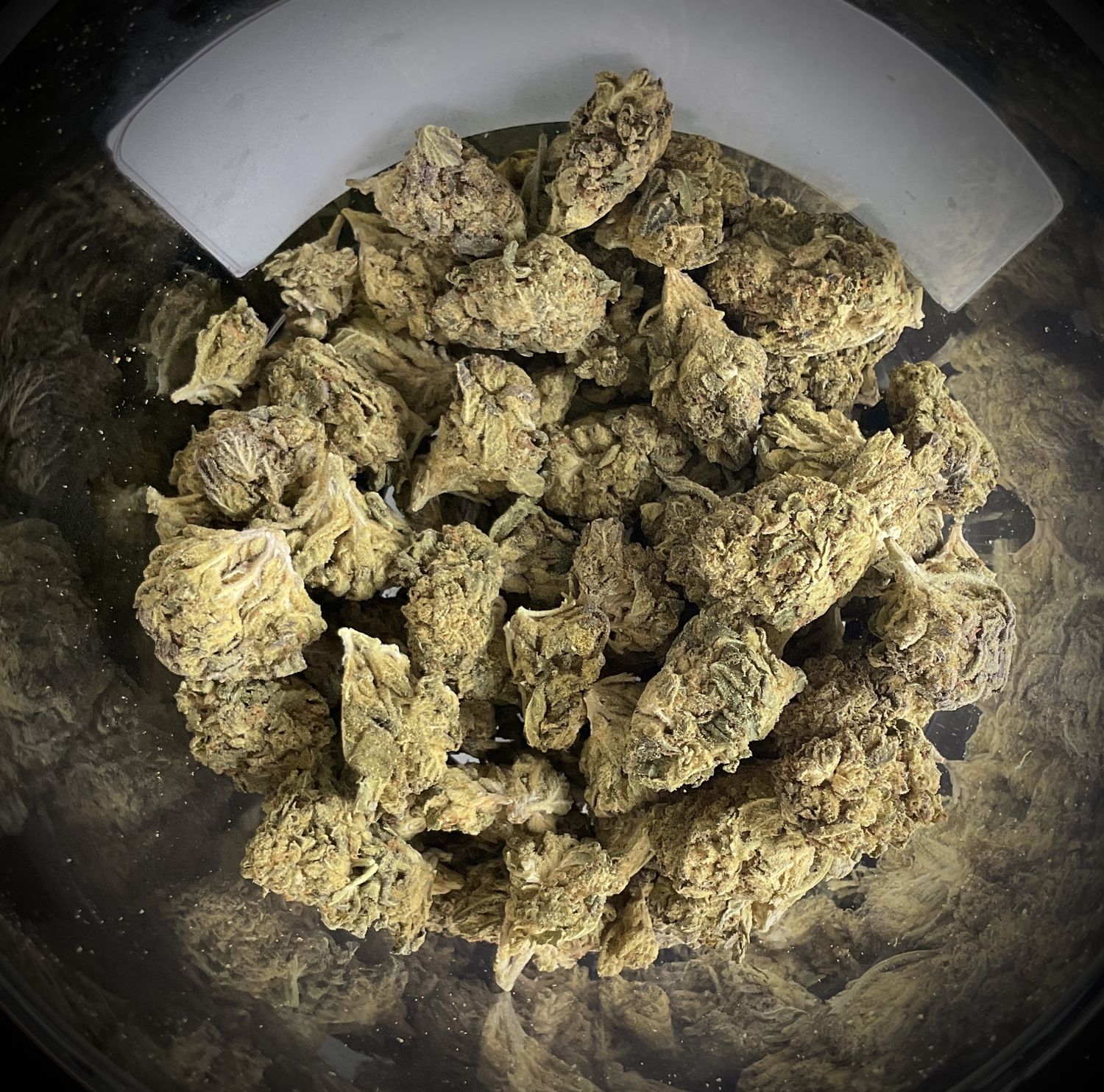 Gluttony THCA