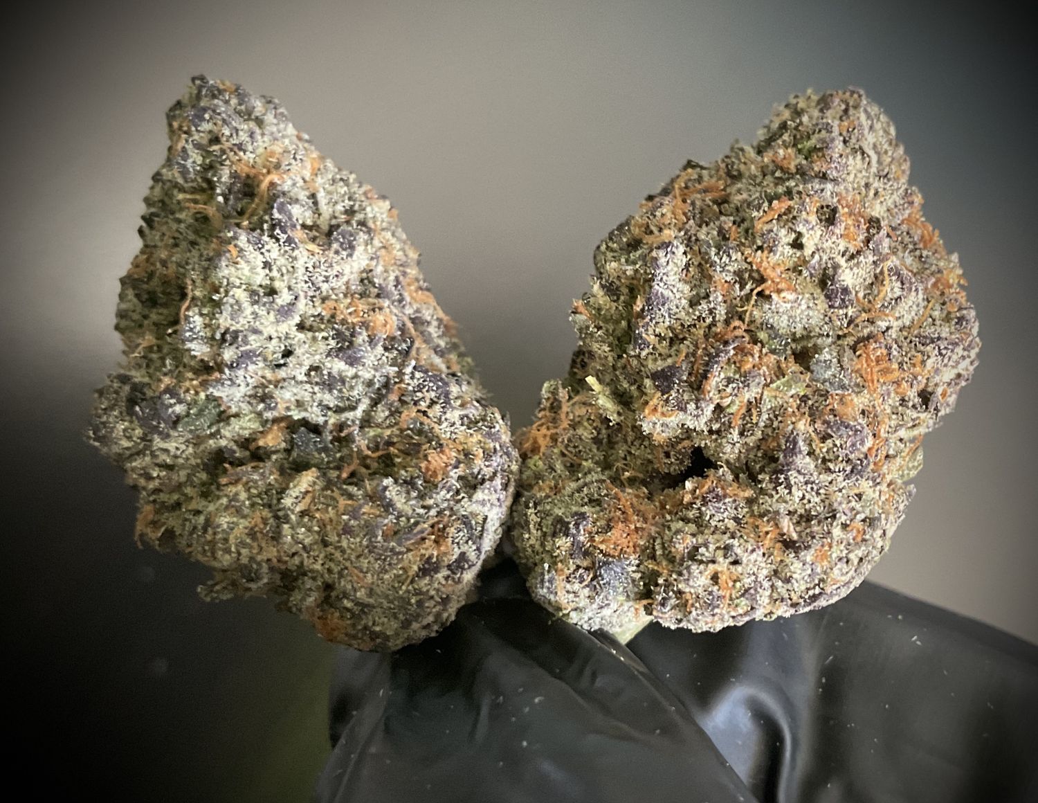 Ice Cream Cake THCA