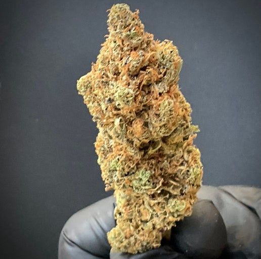 Miss Chem 1:1 (CBD:THCA)