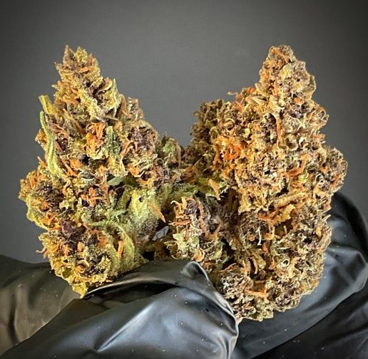 Violet Crown 1:1 (CBD:THCA)