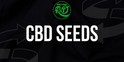 CBD Seeds