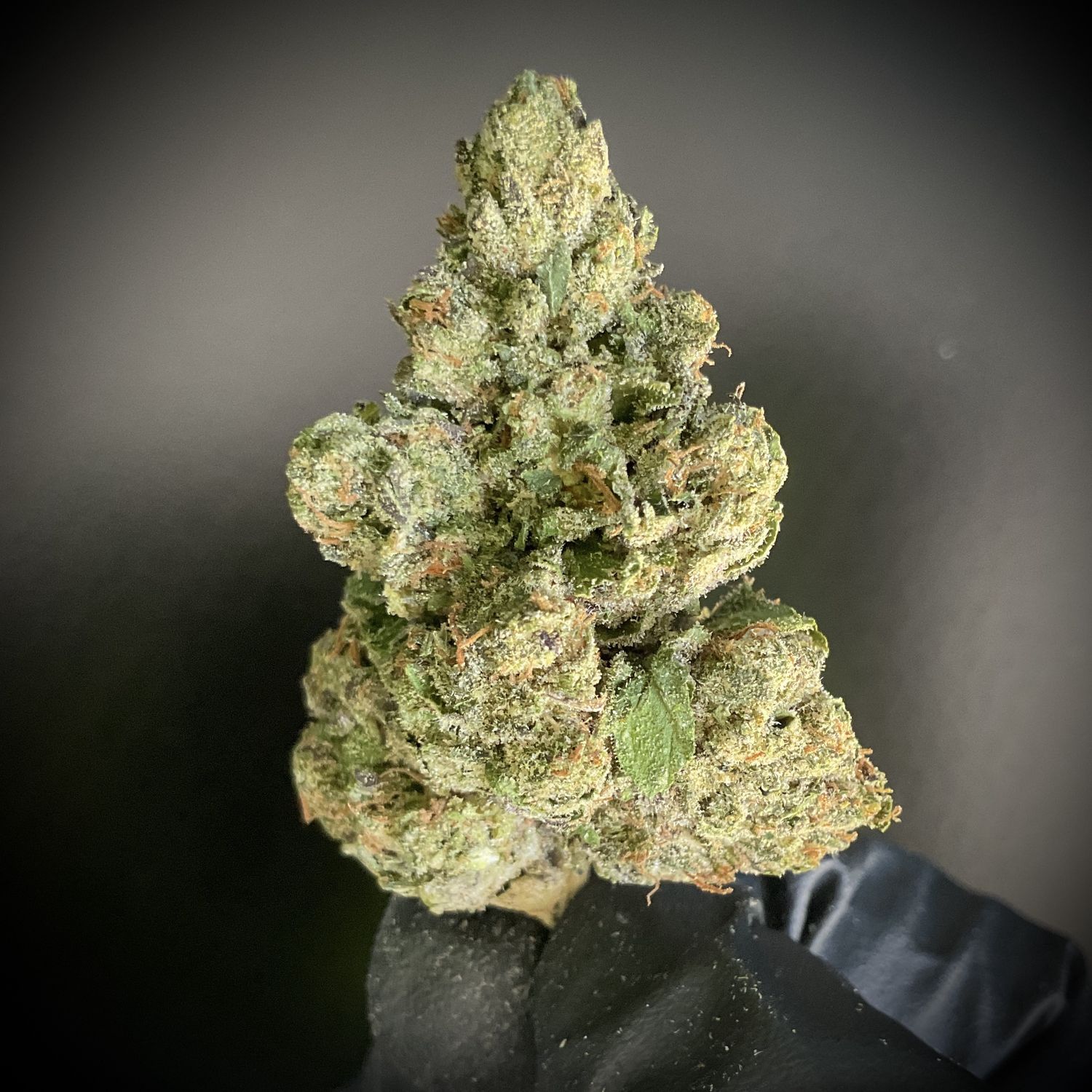 $900 Pre-Order AAA LB Menu (Now AVAIL in 20 STATES! See List Below)