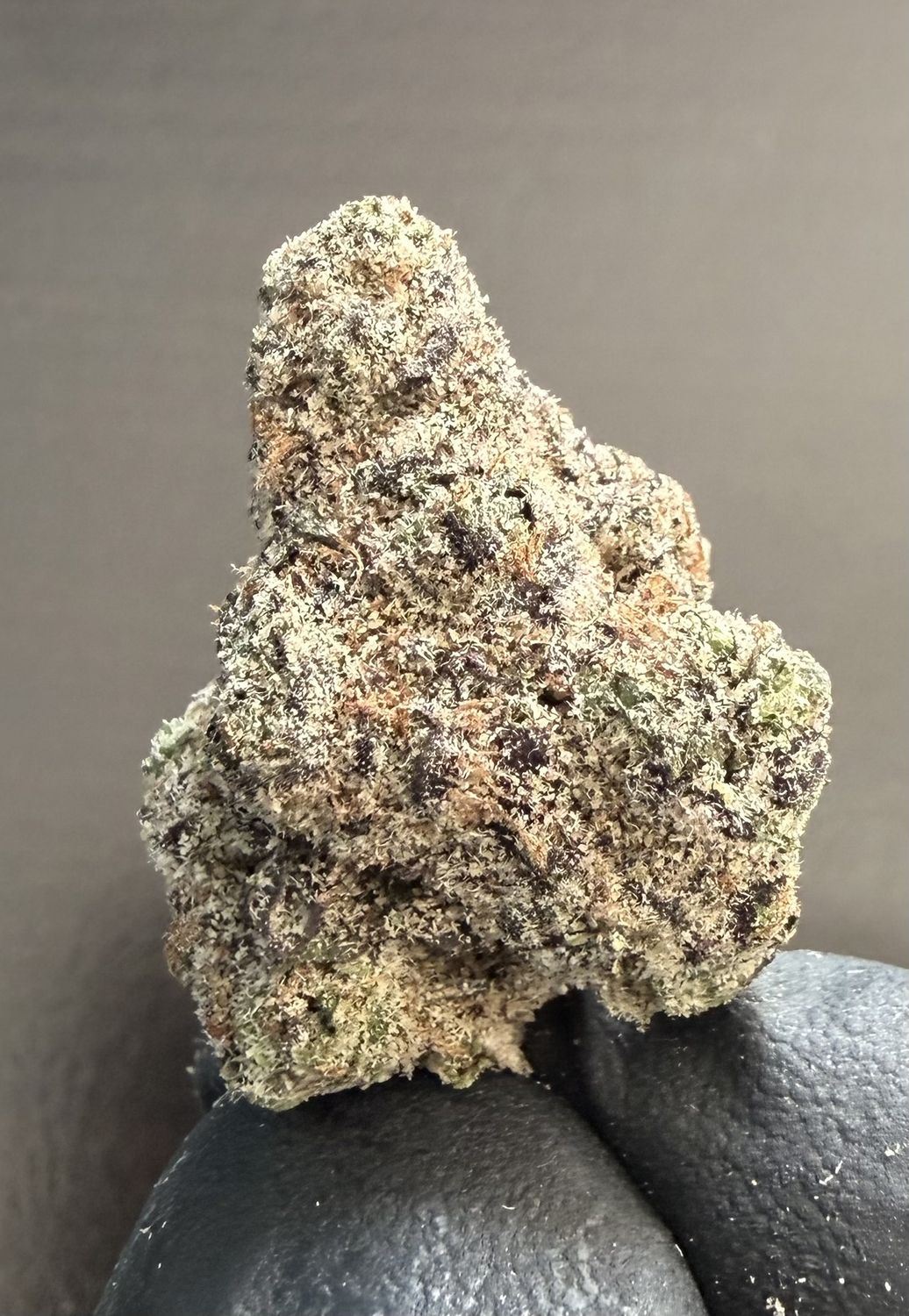 Lemon Cherry Gelato THCA