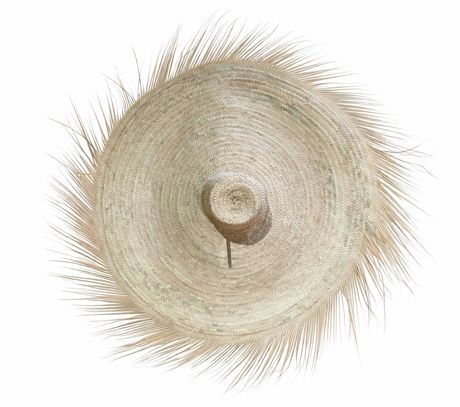 Decoratieve hoed palmvezels