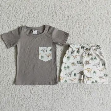 Boys Grey Dinosaur Shorts  Set