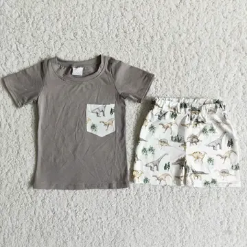 Boys Grey Dinosaur Shorts  Set