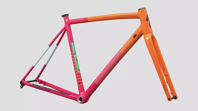 Specialized Crux DSW Frameset