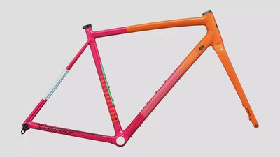 Specialized Crux DSW Frameset